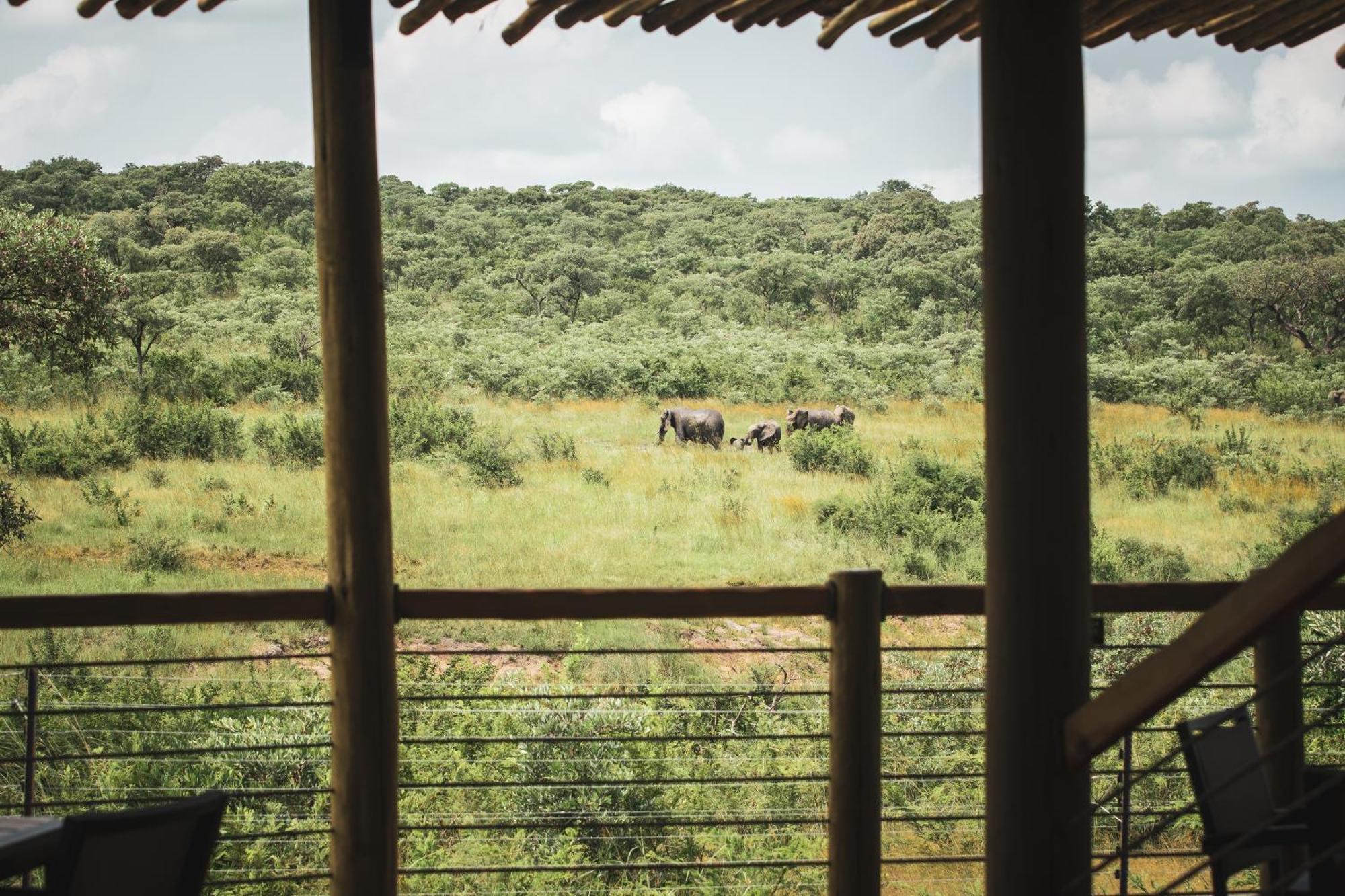 Mdluli Safari Lodge Гейзівью Екстер'єр фото